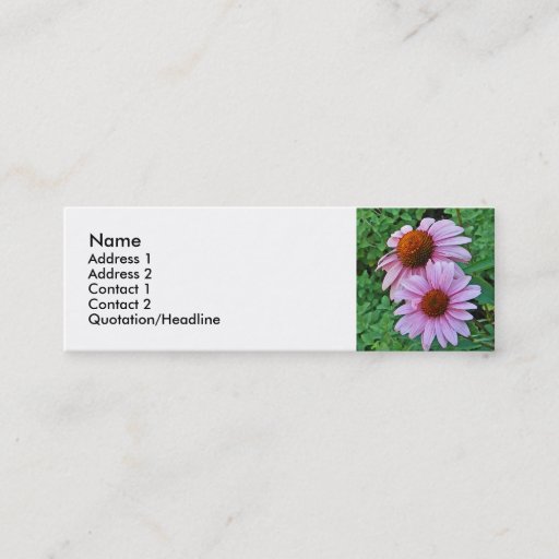 Customizable AZ- Pink Coneflower Floral Business Cards