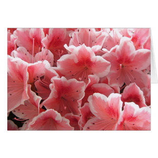 Azalea #1 cards