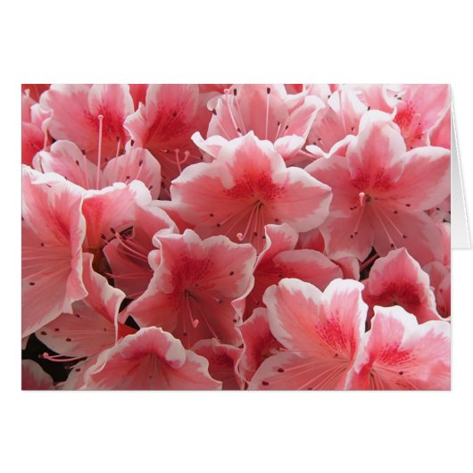 Azalea #1 cards (Front Horizontal)