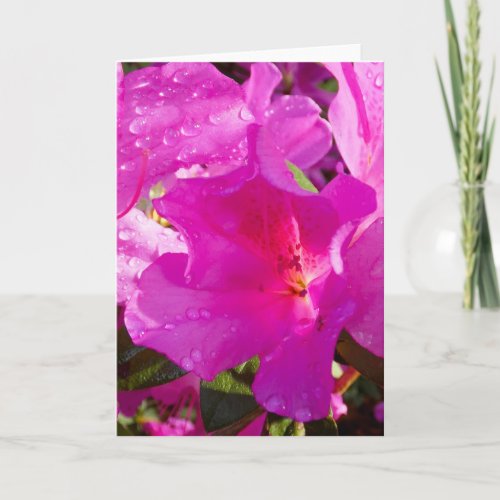 Azalea 1 Greeting Card