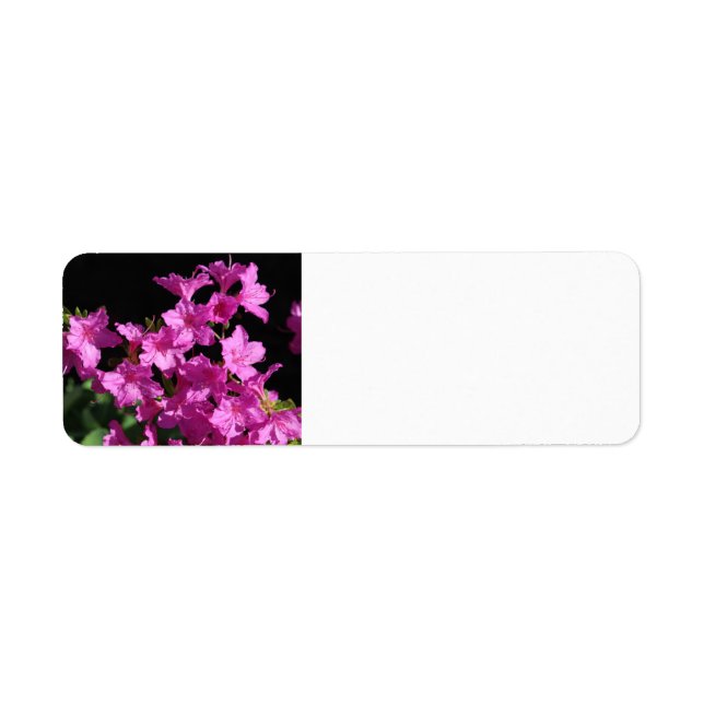 Azalea Address Label (Front)