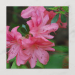 Azalea Bush Invitations