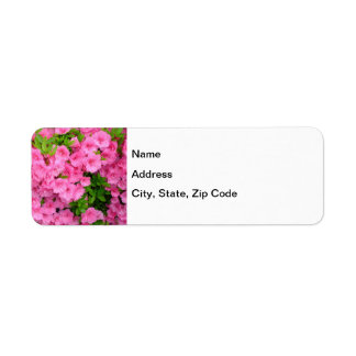 Azalea Bush Label