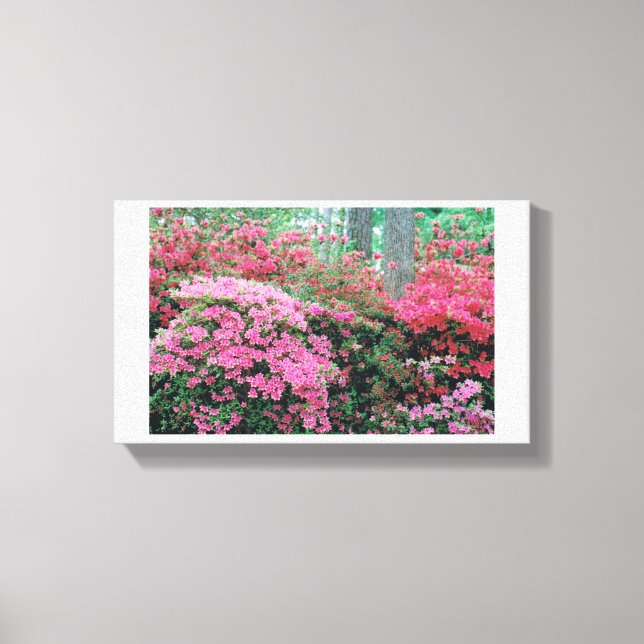 Azalea Canvas Print (Front)