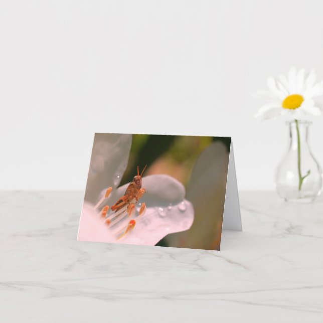 Azalea Flower And Grasshopper Personalized Note Card (Small Plant)