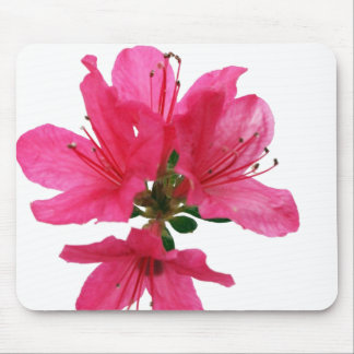 Azalea Mouse Pad