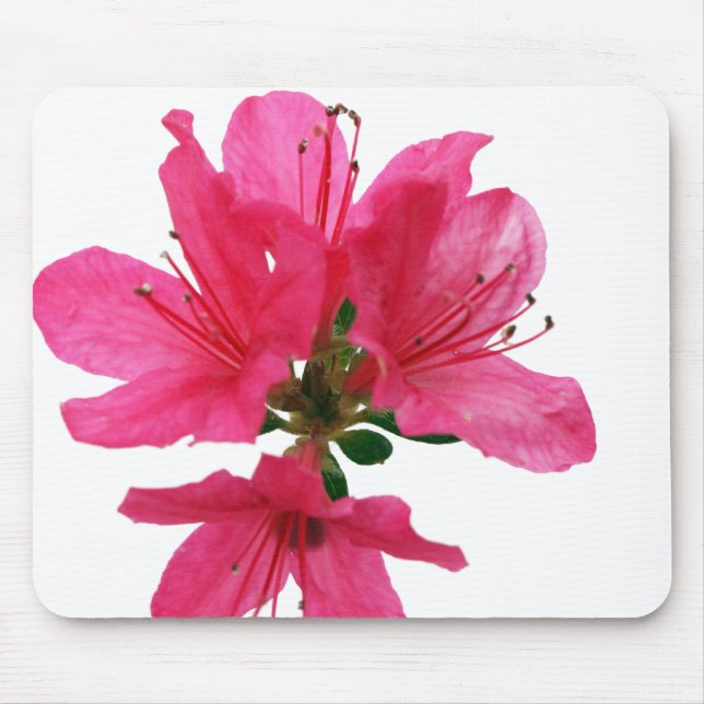 Azalea Mouse Pad (Front)