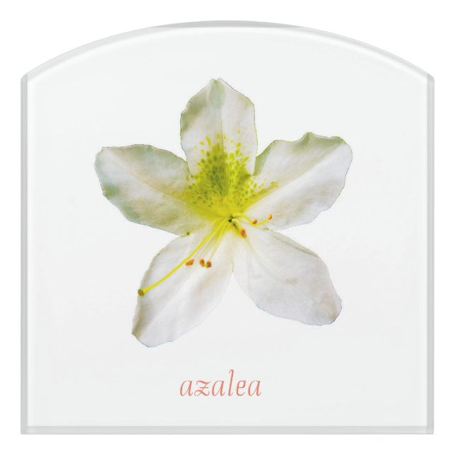  azalea or swamp honeysuckle  door sign (Contour Front)