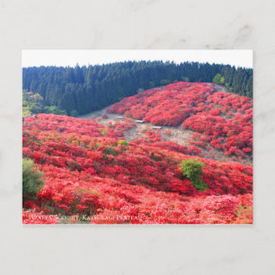 Azalea Scenery Postcard