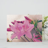 Azaleas (Standing Front)