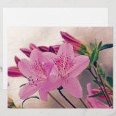 Azaleas (Front/Back)