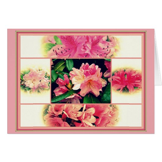 Azaleas 1950's Style Cards (Front Horizontal)