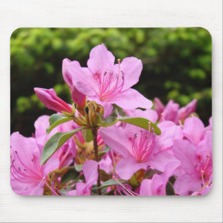 AZALEAS Azalea Flowers MOUSE PADS MOUSEPAD
