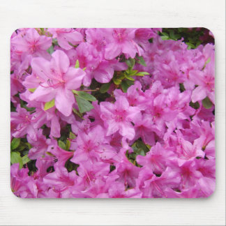 AZALEAS Azalea Flowers MOUSE PADS MOUSEPAD