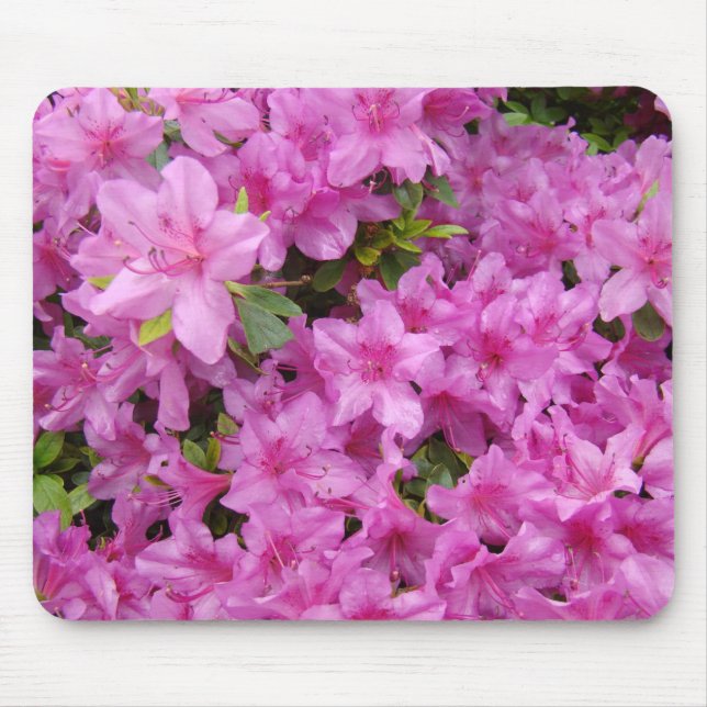 AZALEAS Azalea Flowers MOUSE PADS MOUSEPAD (Front)