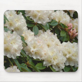 AZALEAS Azalea Flowers MOUSE PADS MOUSEPAD