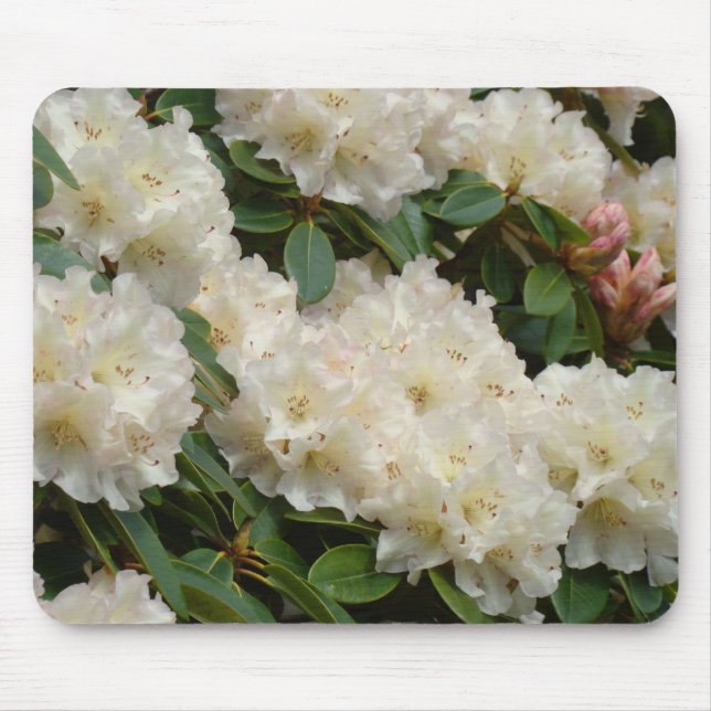 AZALEAS Azalea Flowers MOUSE PADS MOUSEPAD (Front)
