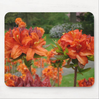 AZALEAS Azalea Flowers MOUSE PADS MOUSEPAD