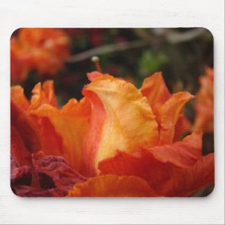 AZALEAS Azalea Flowers MOUSE PADS MOUSEPAD