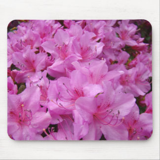AZALEAS Azalea Flowers MOUSE PADS MOUSEPAD