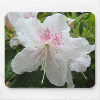 AZALEAS Azalea Flowers MOUSE PADS MOUSEPAD