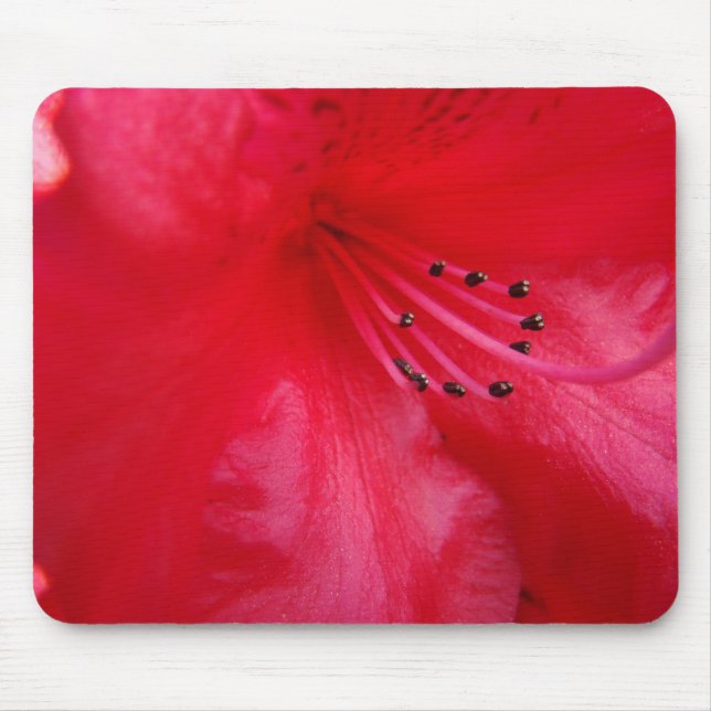 AZALEAS Azalea Flowers MOUSE PADS MOUSEPAD (Front)