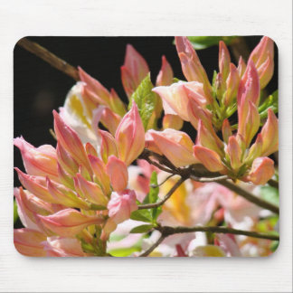 Azaleas MOUSEPADS Pink Orange Azalaea Flowers Art