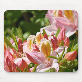 AZALEAS Pink Azalea Flowers MOUSE PADS MOUSEPAD