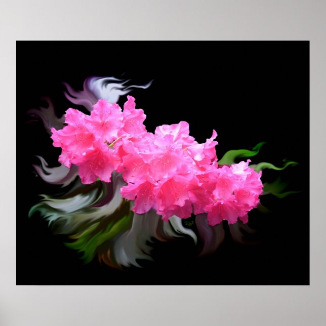 Azaleas Poster (Front)