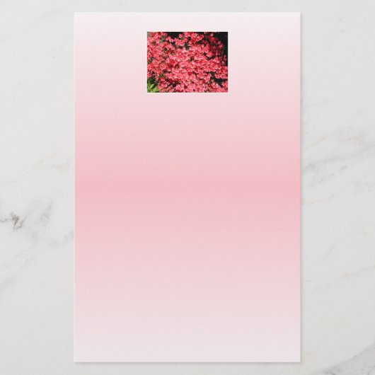 Azaleas. Pretty Pink Flowers. (Front)