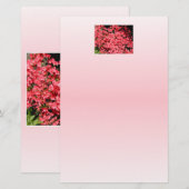 Azaleas. Pretty Pink Flowers. (Front/Back)