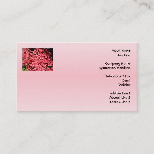 Azaleas. Pretty Pink Flowers. Business Card