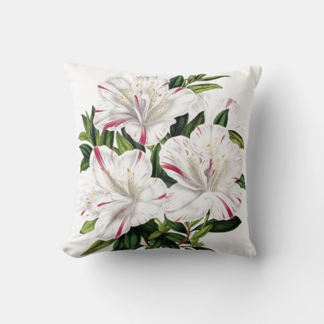 Azaleas vintage illustration throw pillow (Front)