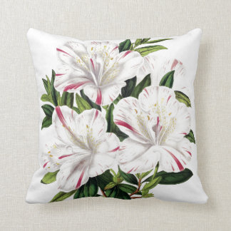 Azaleas vintage illustration throw pillow