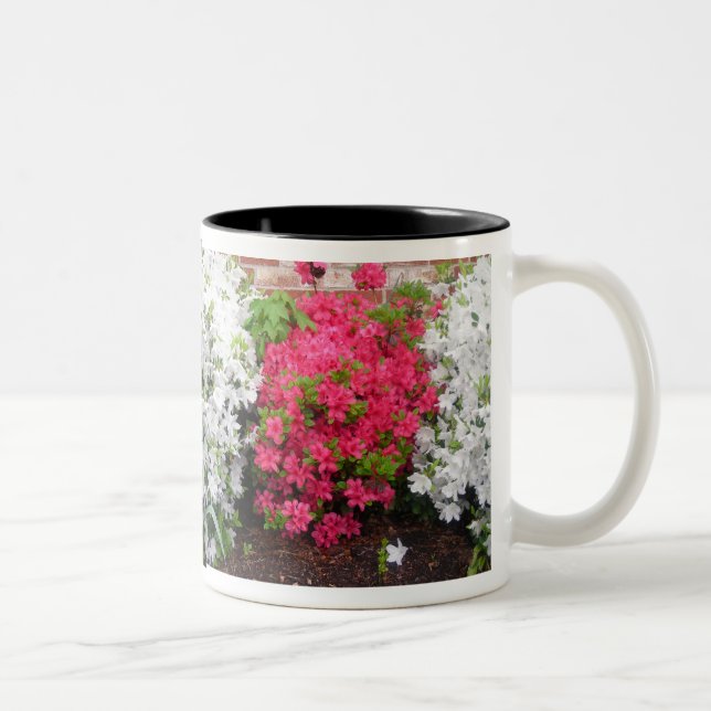 Azaleas wrap around Mug (Right)