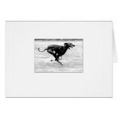 Azawakh Card 3 by David Moore (Front Horizontal)