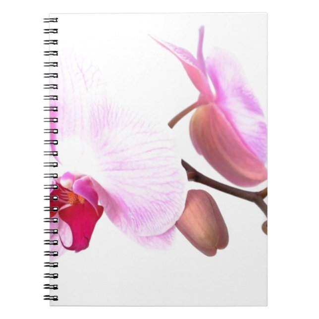 Aziza Orchid Blossoms Notebook (Front)