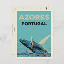 Azores humpback whale illustration Portugal