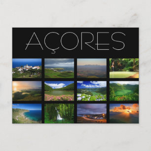 Azores Landscapes Postcard