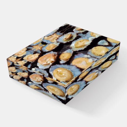 Azores lapas limpets paperweight