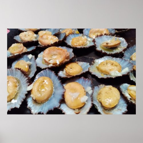 Azores lapas limpets poster