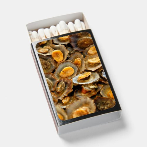 Azores limpets lapas matchboxes