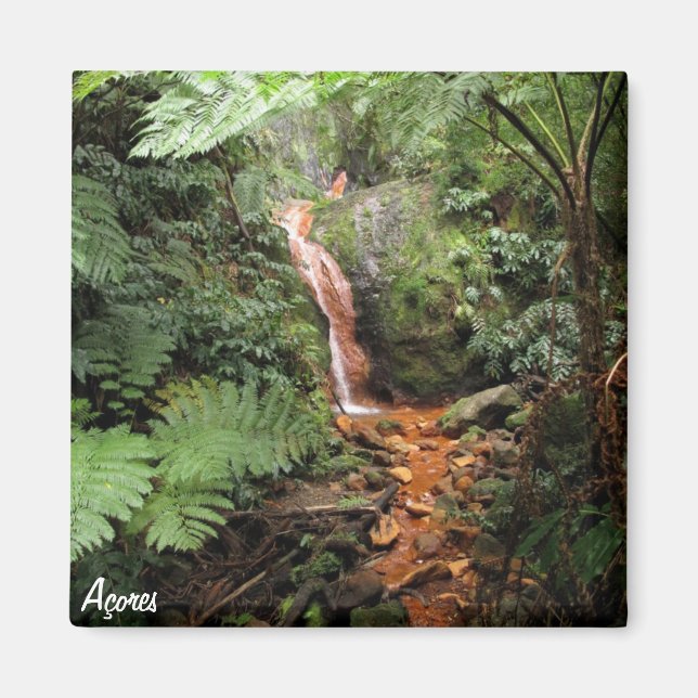 Azores magnet- Caldeira Velha Magnet (Front)