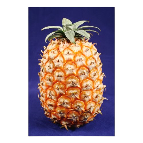 Azores pineapple photo print