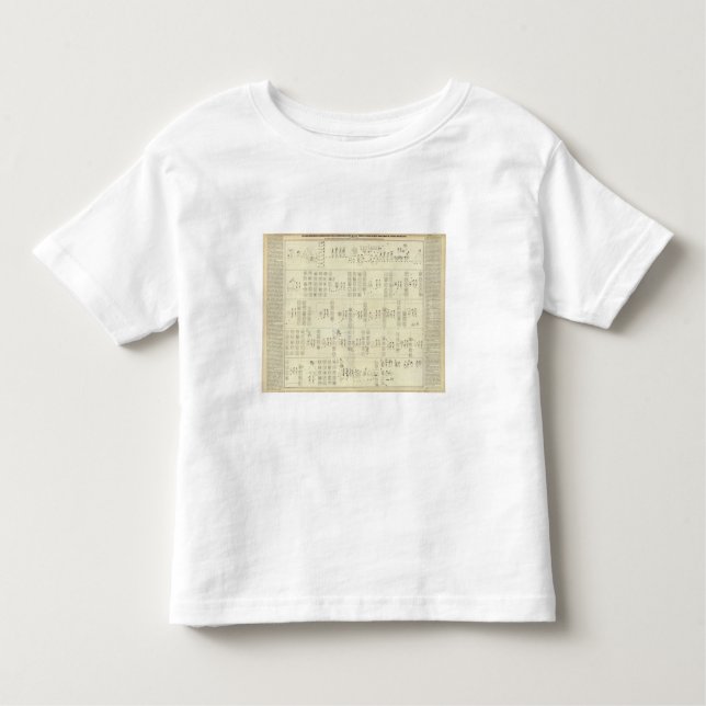 Aztec Mexico Valley Toddler T-shirt (Front)