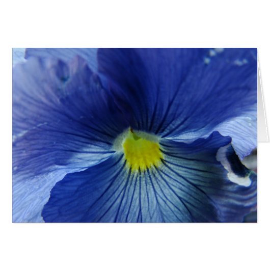 Azul Cards (Front Horizontal)