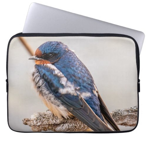 Azure Avian Barn Swallow Canadian Wild Bird Laptop Sleeve