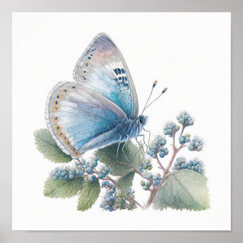 Azure Blue Butterfly Art Print Poster