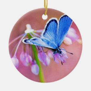 Azure Butterfly Ceramic Ornament