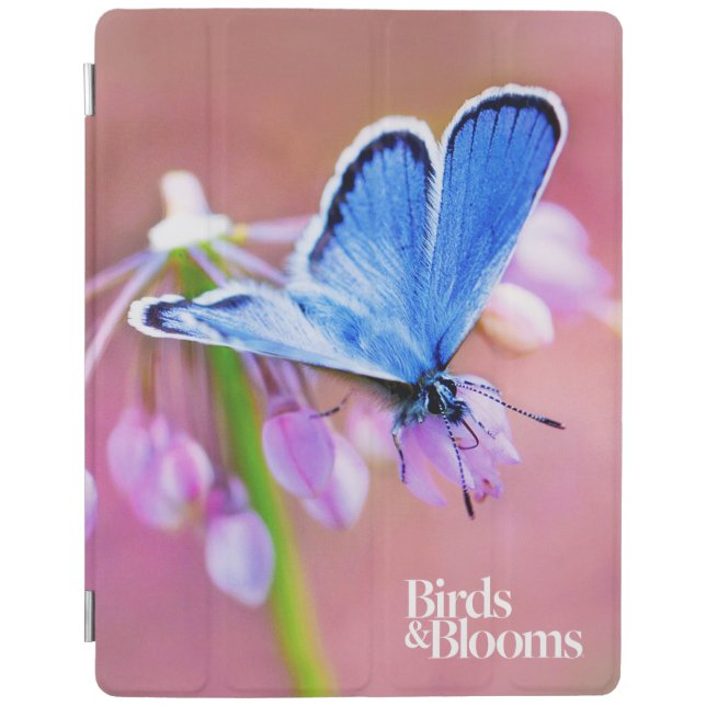 Azure Butterfly iPad Smart Cover (Front)